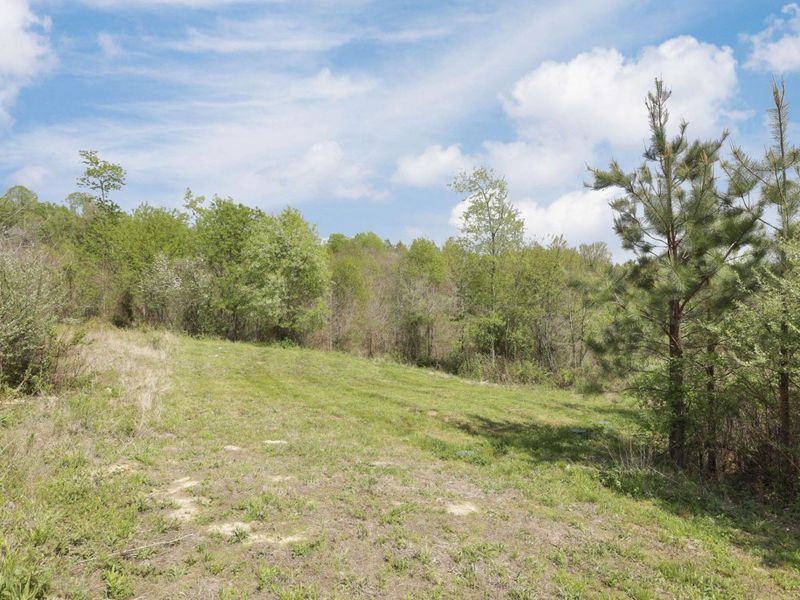 66245 Old Shurtz Road, New Plymouth, OH 45654 Photo 86