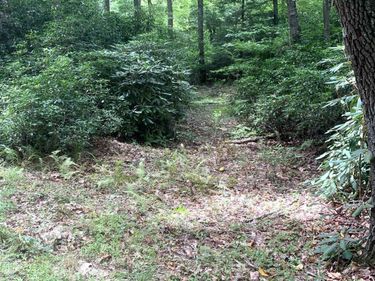 3311 Hanging Run Road, Belington, WV 26250
