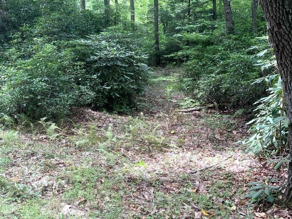 3311 Hanging Run Road, Belington, WV 26250