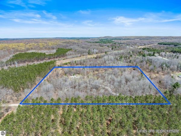 5819 Starvation Lake Road NE, Kalkaska, MI 49659
