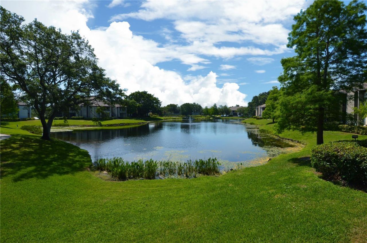 10265 Gandy Boulevard N, Unit 1804, Saint Petersburg, FL 33702 Photo