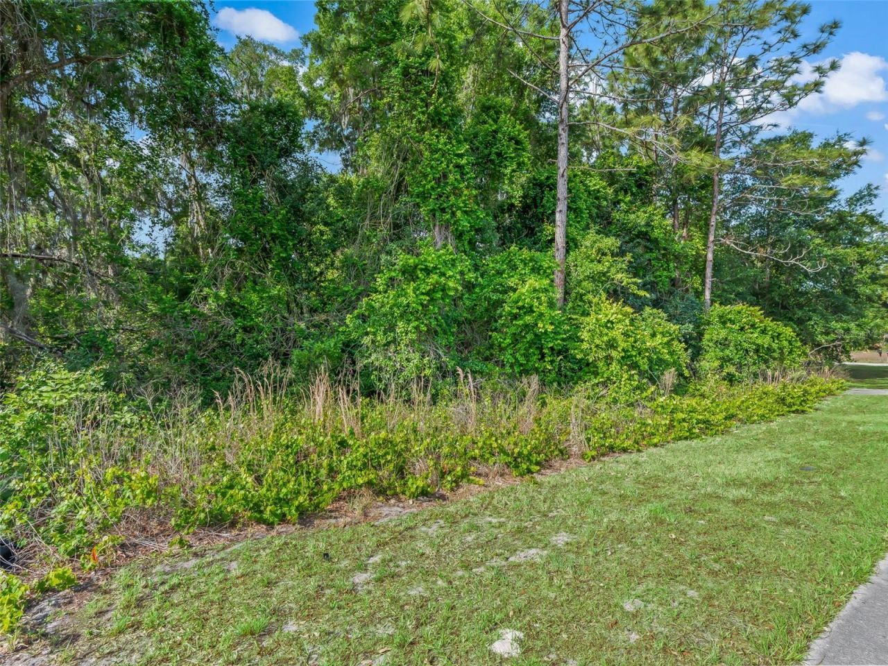 2823 W C 48 , Bushnell, FL 33513 Photo
