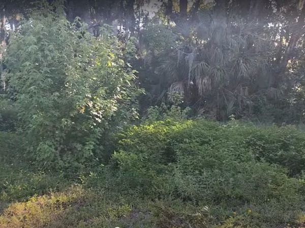 695 S Rodriquez St, St Augustine, FL 32084