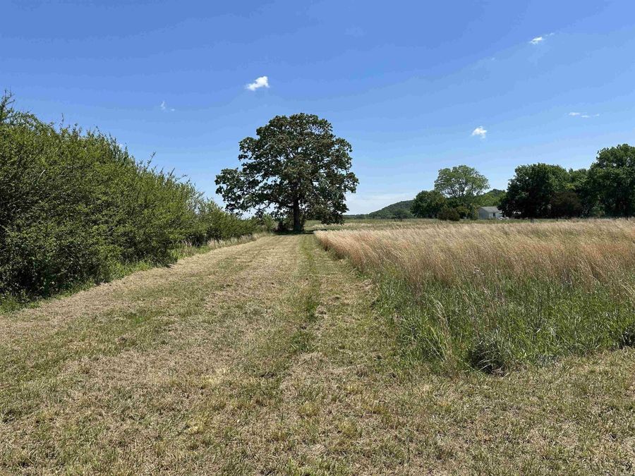Property Image 42