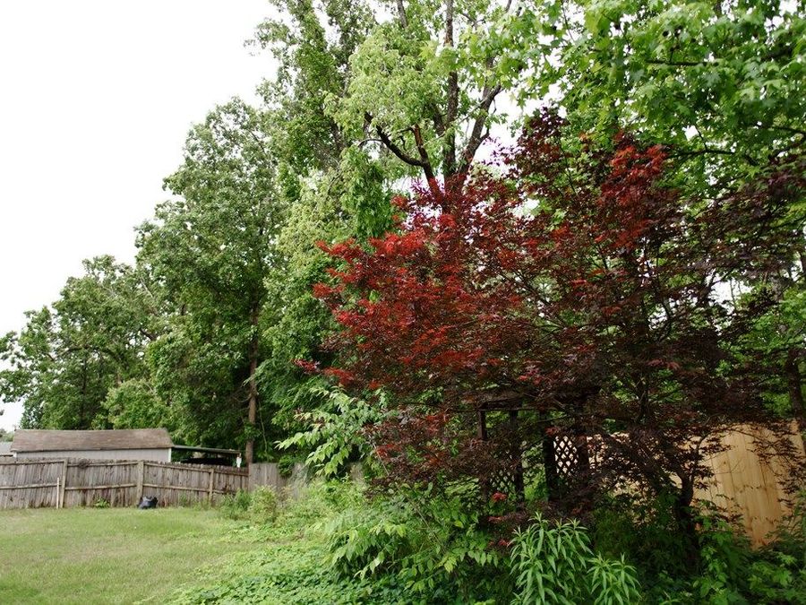 Property Image 51
