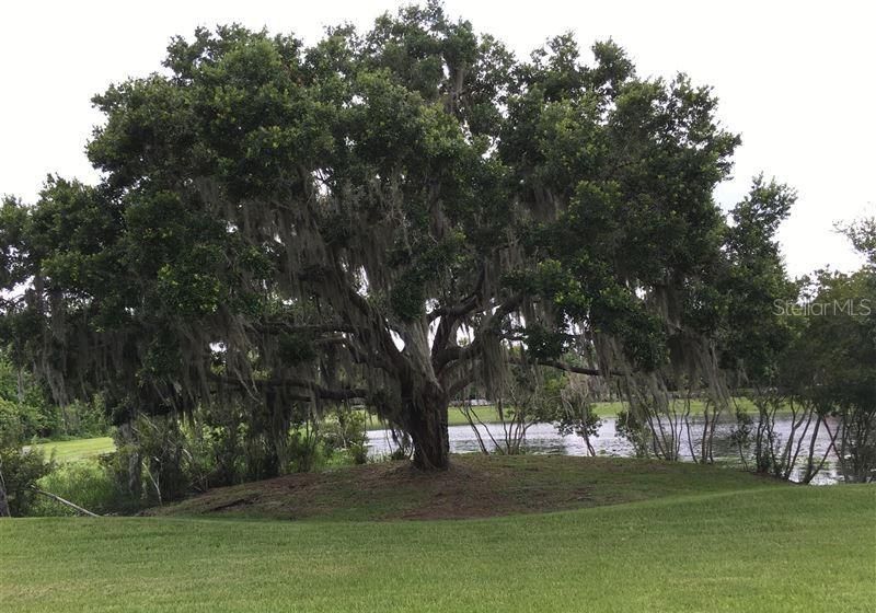 5286 78th St Circle E, Bradenton, FL 34203 Photo