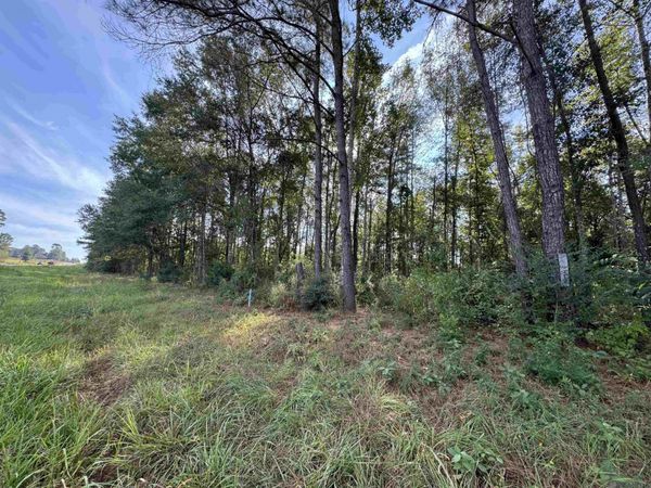 SF-12 La Hwy 16, Denham Springs, LA 70706