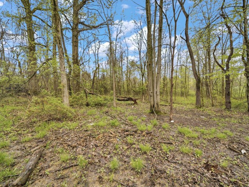 0 Lantz Road, Mansfield, OH 44906 Photo 3