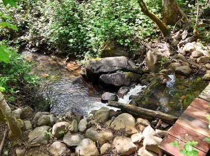 12638 Francis, Grass Valley, CA 95949 Photo