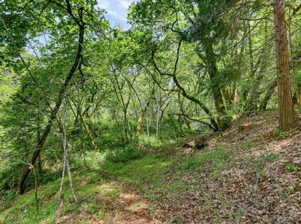 12638 Francis, Grass Valley, CA 95949 Photo