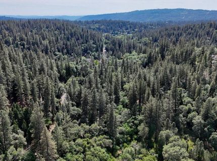 12638 Francis, Grass Valley, CA 95949 Photo