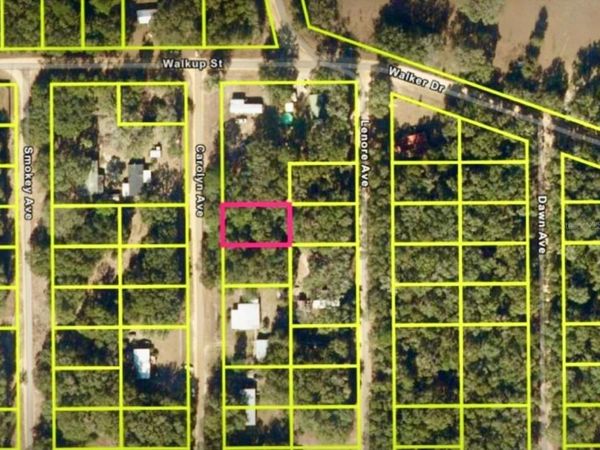 CAROLYN AVENUE , INTERLACHEN, FL 32148