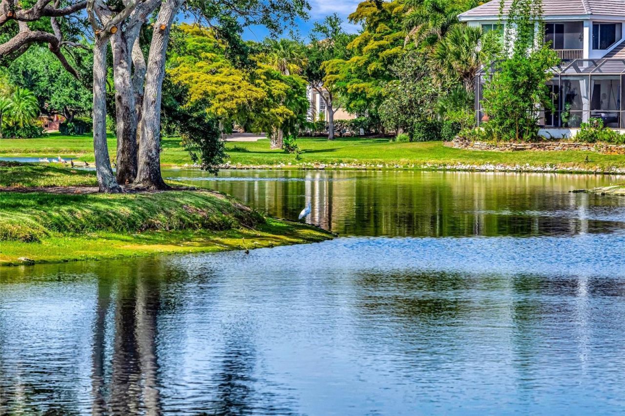 1846 Amberwynd Circle W, Palmetto, FL 34221 Photo