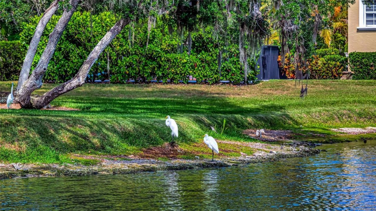 1846 Amberwynd Circle W, Palmetto, FL 34221 Photo