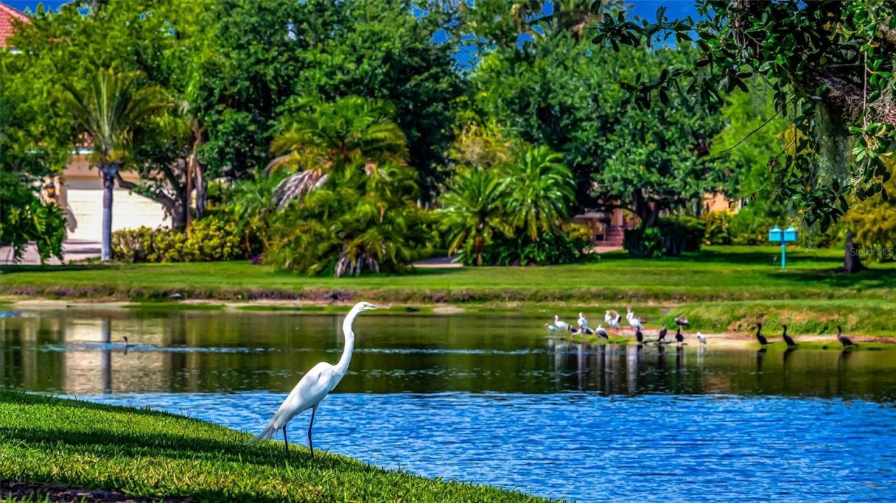 1846 Amberwynd Circle W, Palmetto, FL 34221 Photo