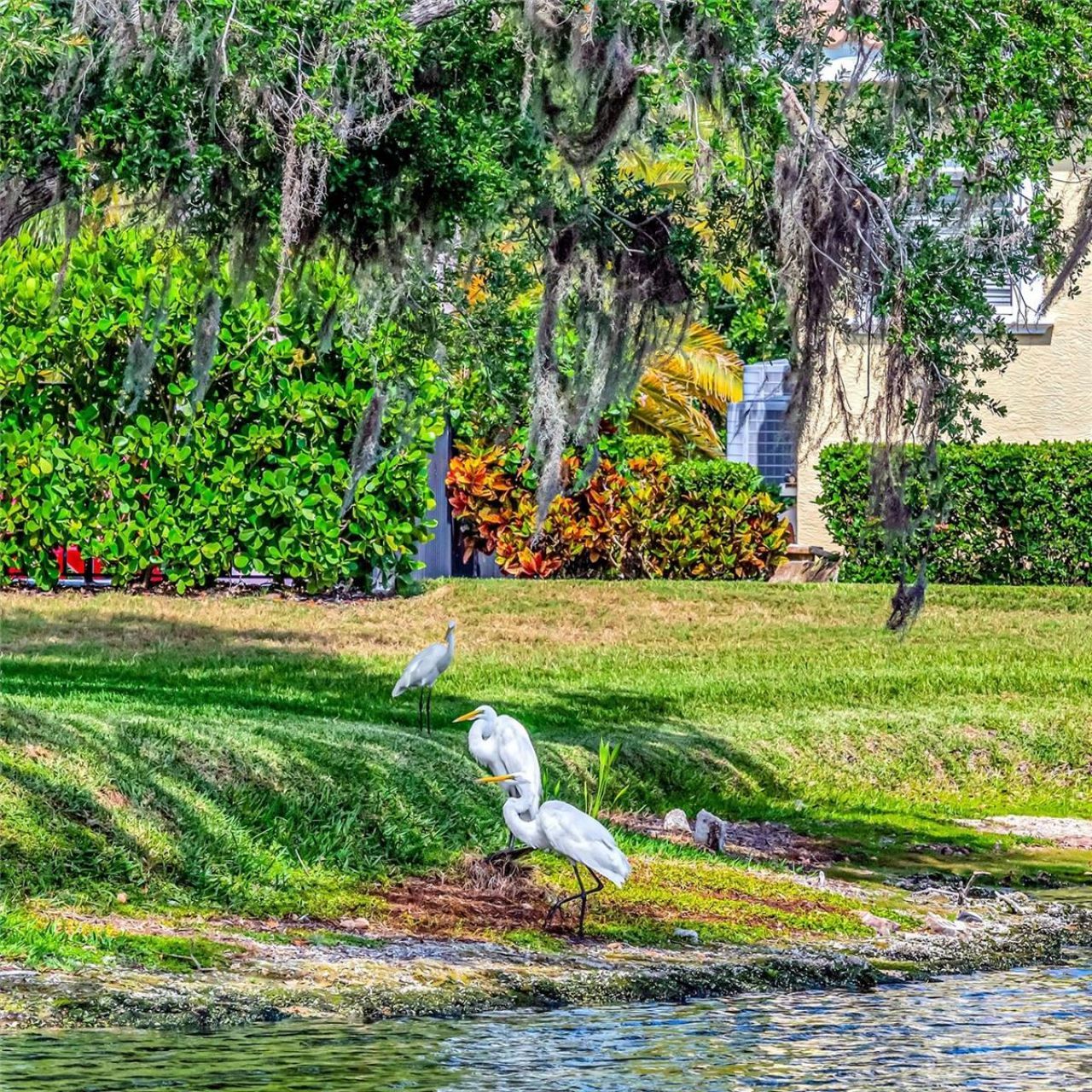 1846 Amberwynd Circle W, Palmetto, FL 34221 Photo