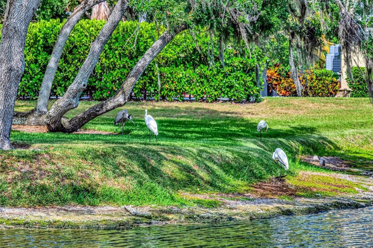 1846 Amberwynd Circle W, Palmetto, FL 34221 Photo