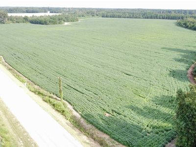 TBD Hwy 9 , Green Sea, SC 29545