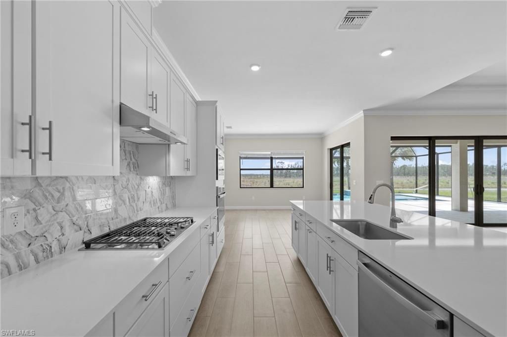 20529 Napa Loop, Estero, FL 33928 Photo