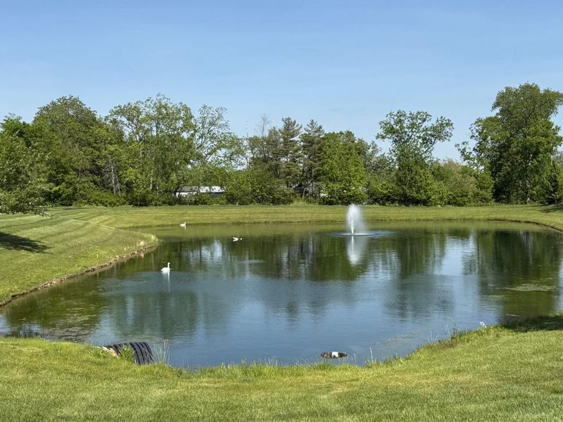5182 Horseshoe Falls Drive, Dublin, OH 43016 Photo 59