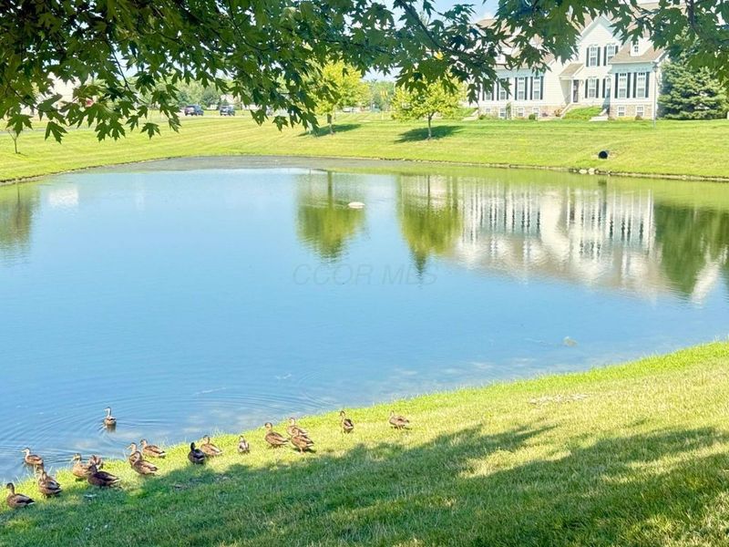 5182 Horseshoe Falls Drive, Dublin, OH 43016 Photo 62