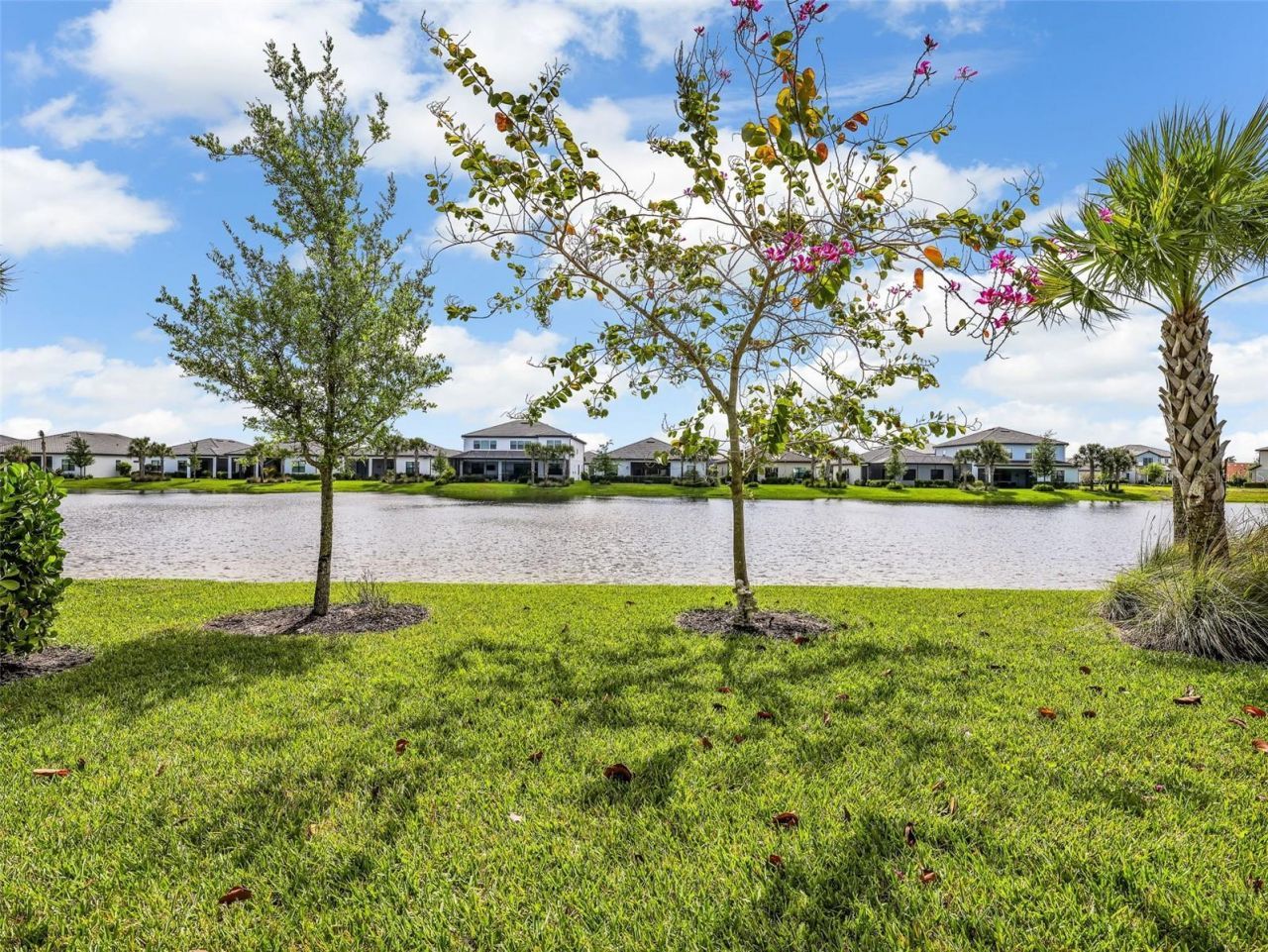 4300 Arlington Drive , Ave Maria, FL 34142 Photo