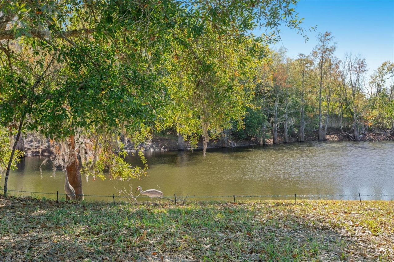 9016 Easthaven Court, New Port Richey, FL 34655 Photo