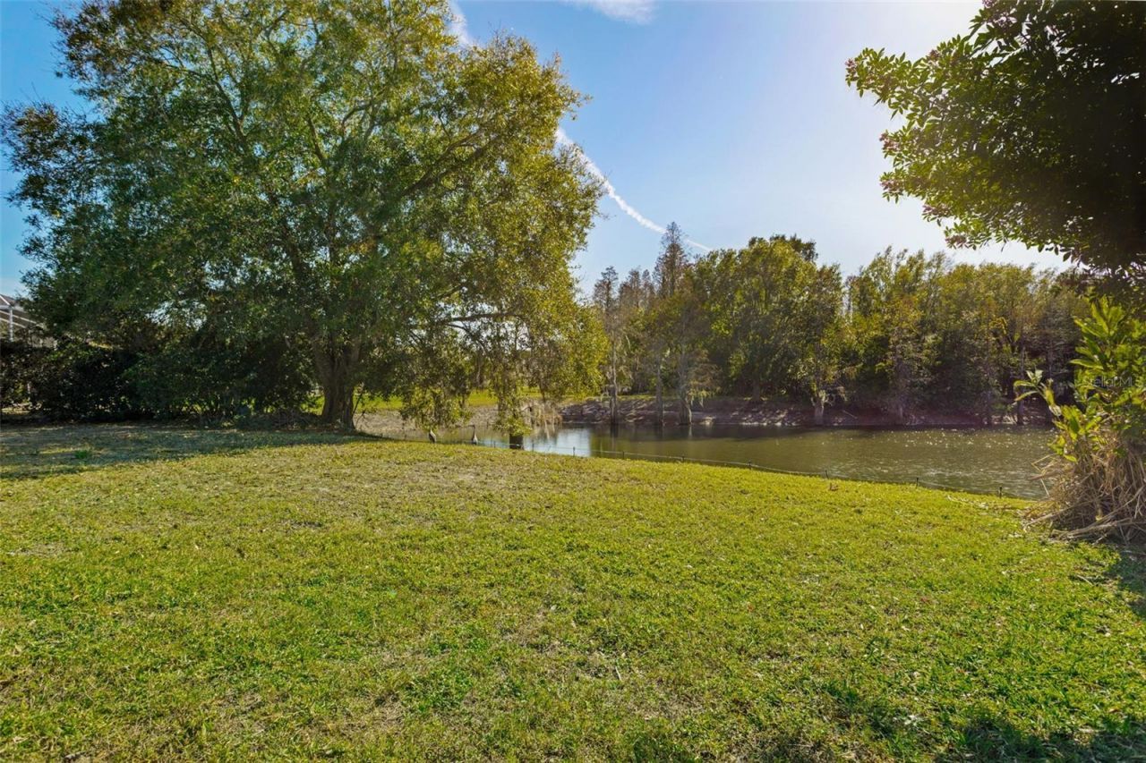 9016 Easthaven Court, New Port Richey, FL 34655 Photo