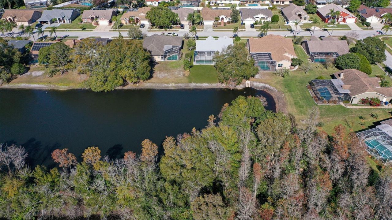 9016 Easthaven Court, New Port Richey, FL 34655 Photo