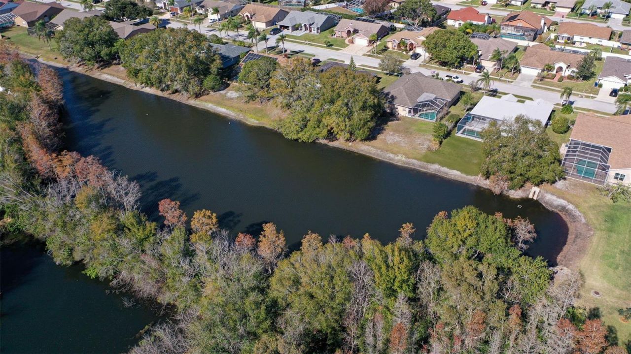 9016 Easthaven Court, New Port Richey, FL 34655 Photo