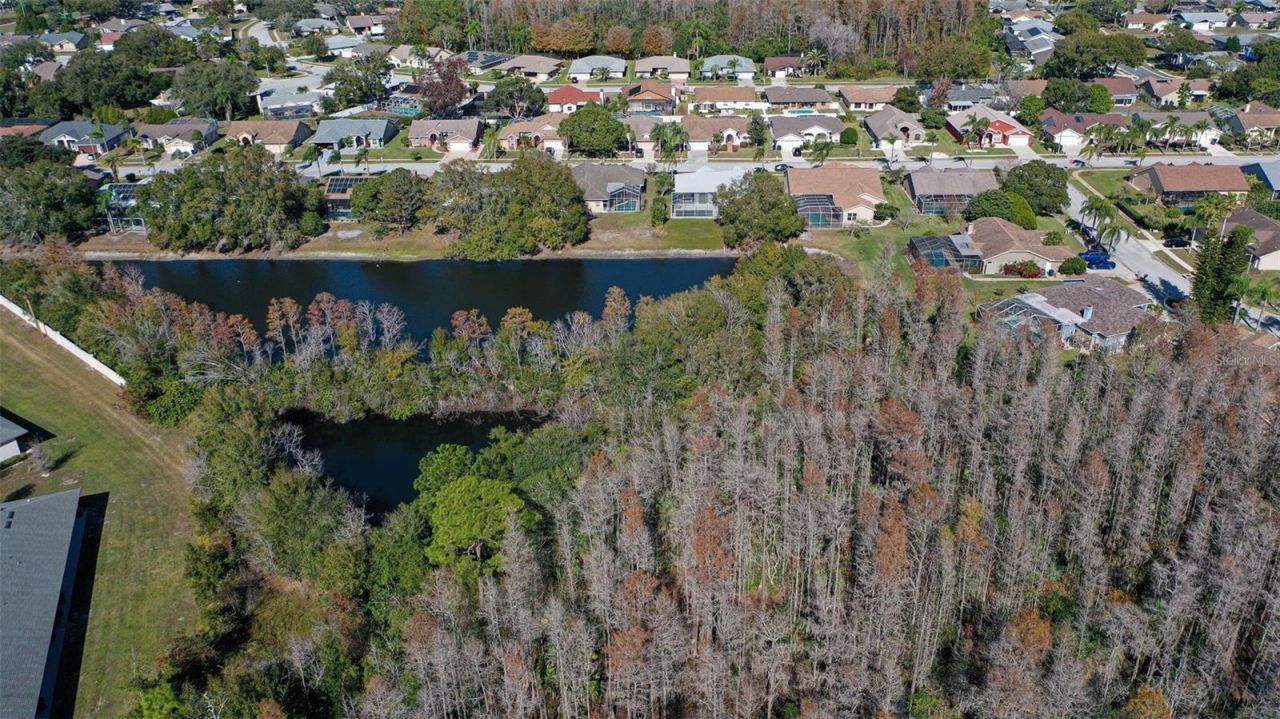 9016 Easthaven Court, New Port Richey, FL 34655 Photo