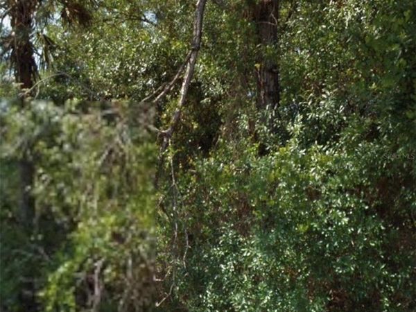 OHIO ROAD , NORTH PORT, FL 34291