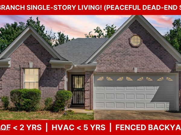 9852 Pigeon Roost Park Circle, Olive Branch, MS 38654