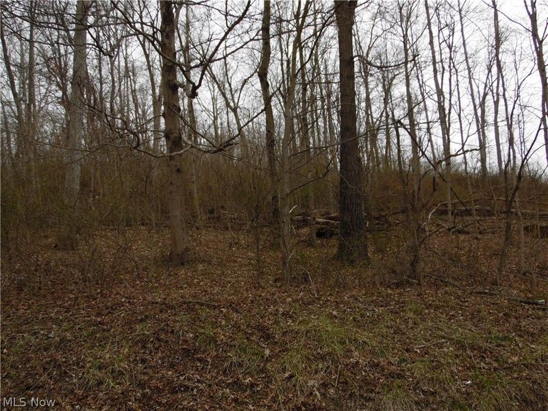 280 Jett Hill Road, Marietta, OH 45750 Photo 19