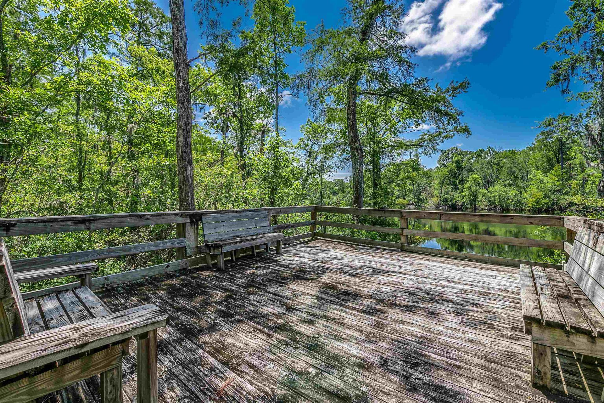 218 Oak Landing Dr. Photo 38