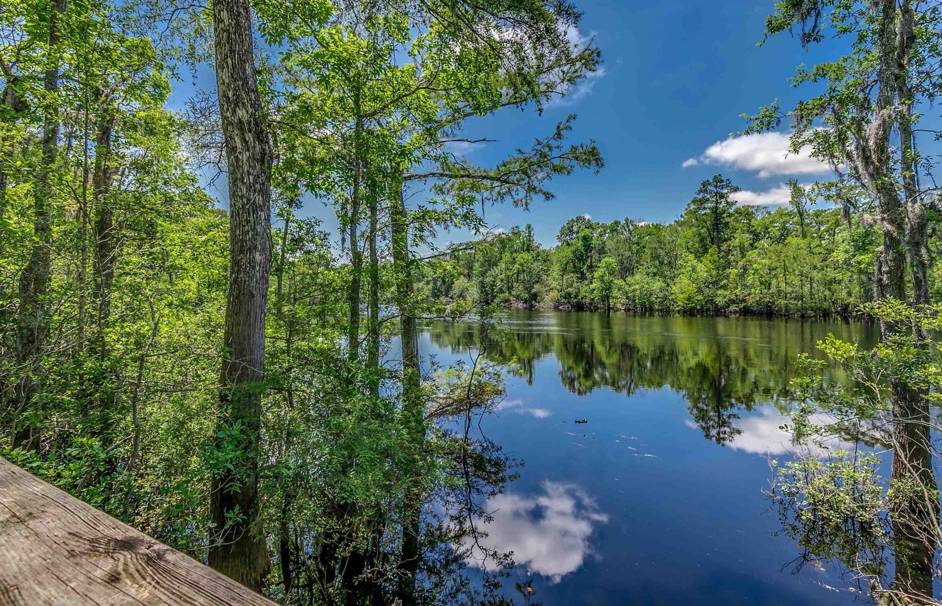218 Oak Landing Dr. Photo 39