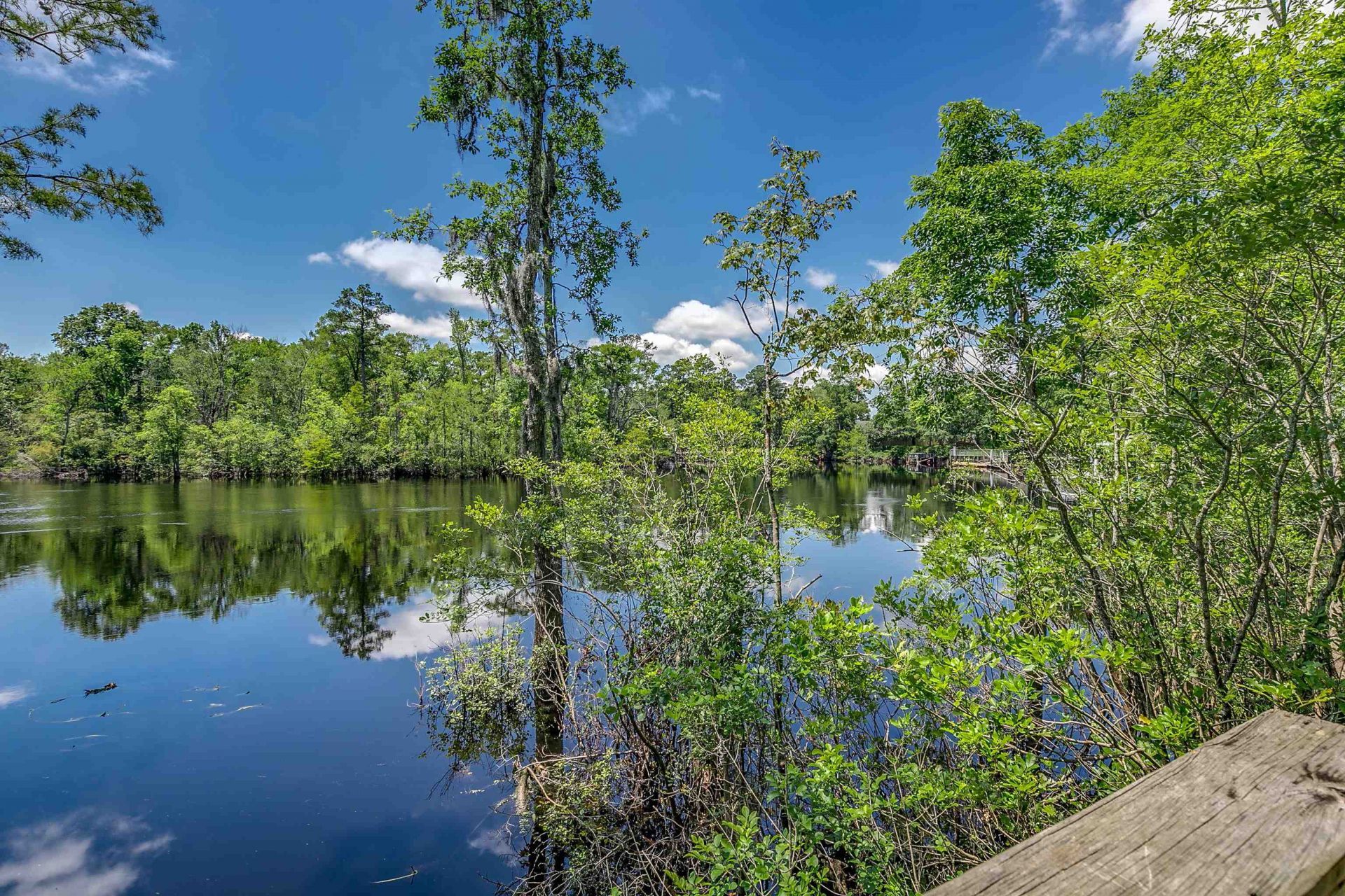218 Oak Landing Dr. Photo 40