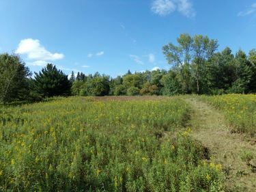 67xx Old Sawmill Road, Harris, MN 55032