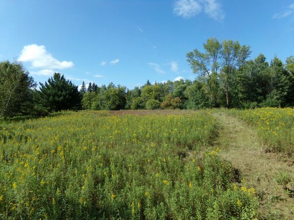 67xx Old Sawmill Road , Harris, MN 55032