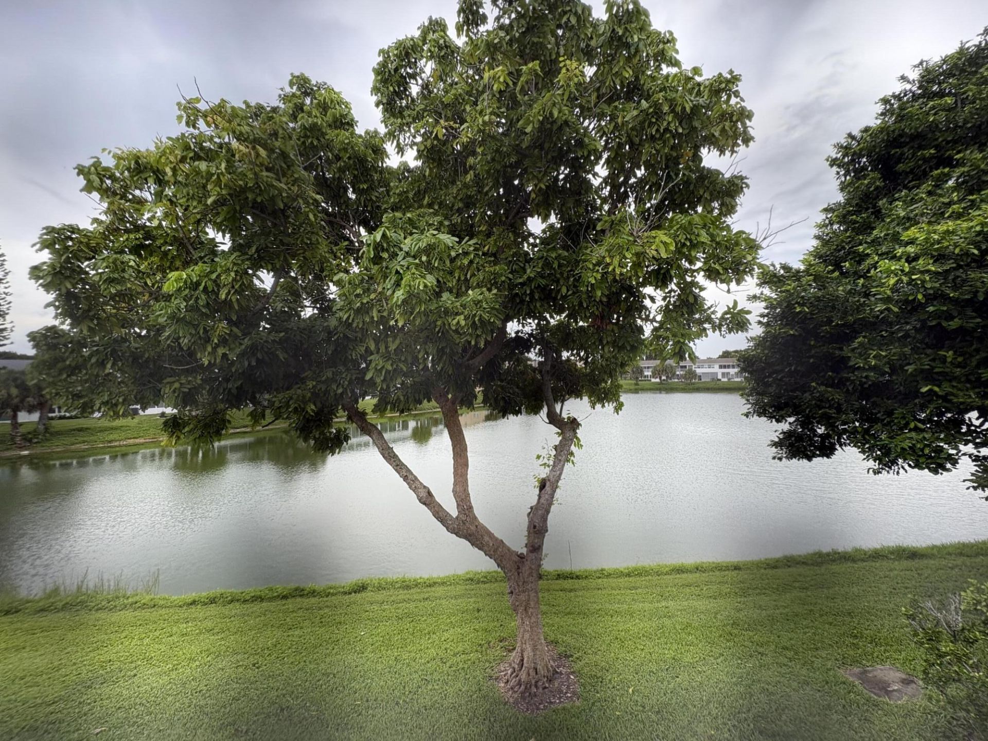 163 Somerset Crescent, Unit H, West Palm Beach, FL 33417 Photo