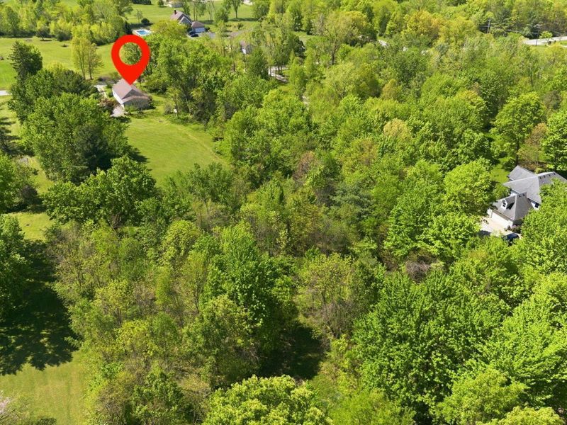 10131 Gorsuch Road, Galena, OH 43021 Photo 17