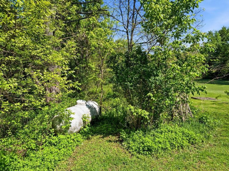 10131 Gorsuch Road, Galena, OH 43021 Photo 6