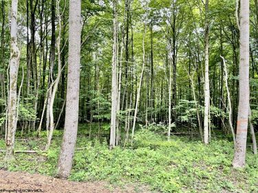 4 Holleran Heights, Kingwood, WV 26519