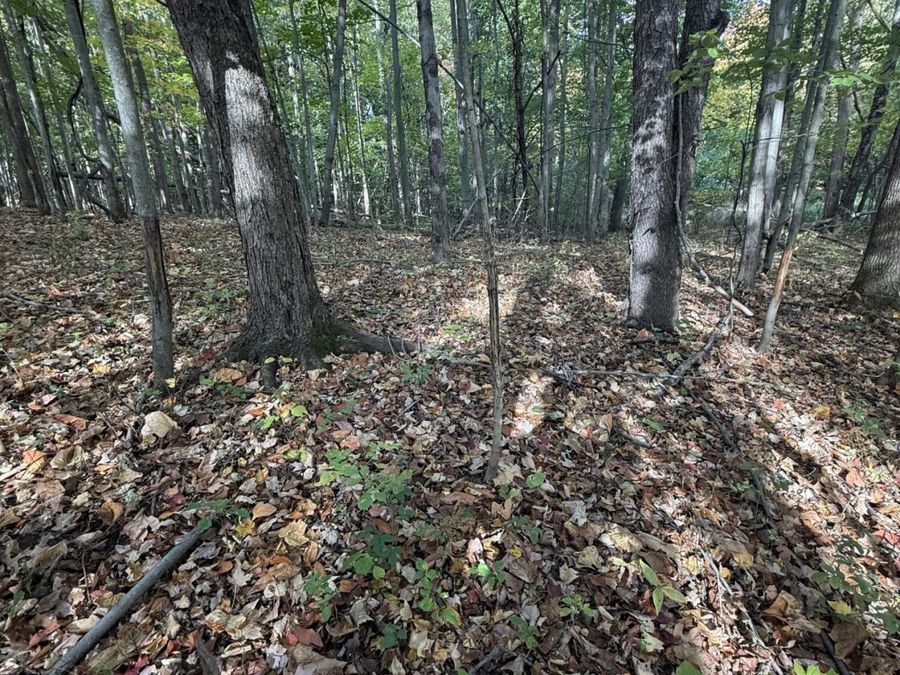 Property Image 37