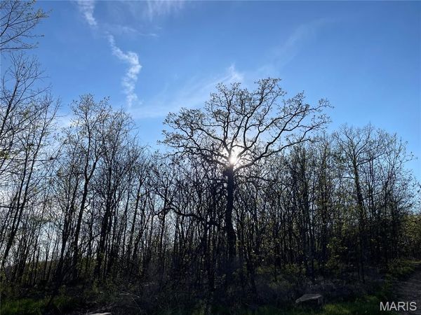 1190 Private Road 349A-5 , Piedmont, MO 63957