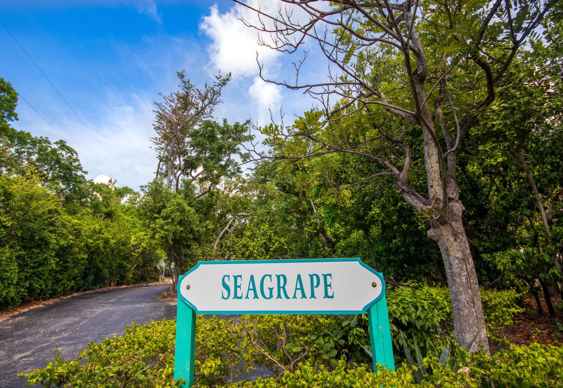 97652 Overseas Highway, Unit APT S1, Key Largo, FL 33037 Photo
