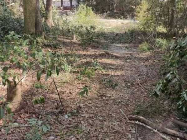 0 Bonnievale Drive , Grand Bay, AL 36541