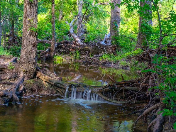 5950 Moccasin Bend RD, Gatesville, TX 76528