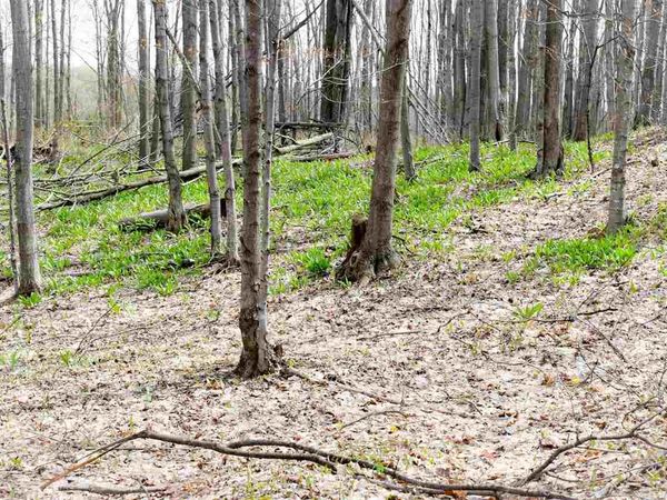 TBD (Vacant) W Clute Road, Boyne City, MI 49712