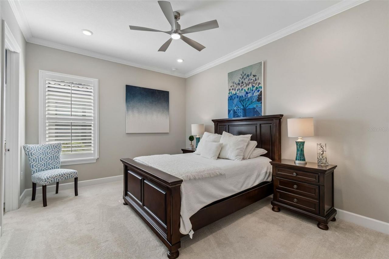 4795 Freccia Loop , Wesley Chapel, FL 33543 Photo
